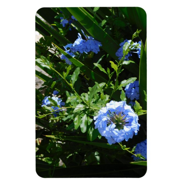 Flexible Photo Magnet flower blue design (Vertical)