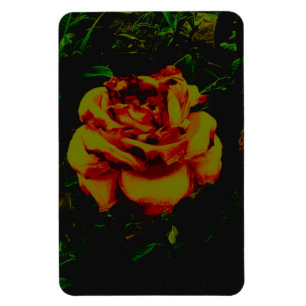 Flexible Photo Magnet golden eco