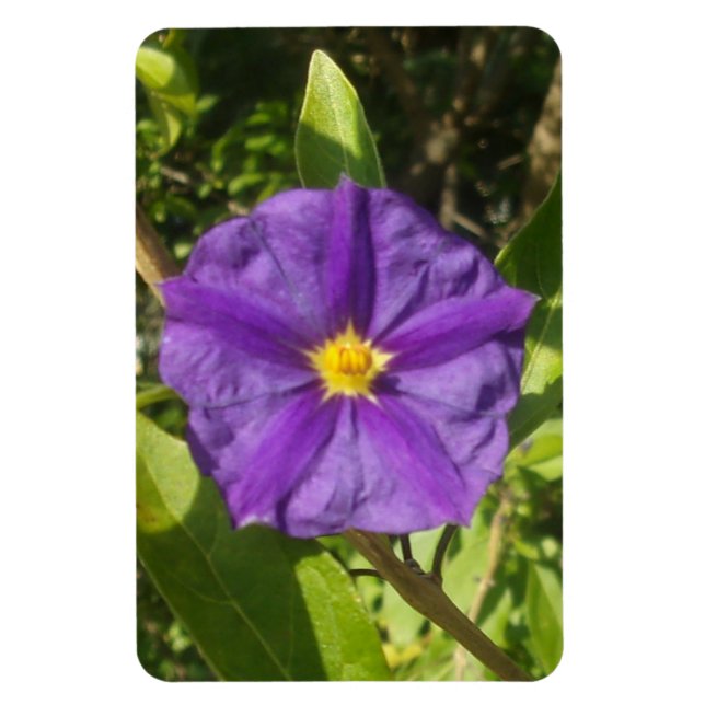Flexible Photo Magnet purple eco (Vertical)