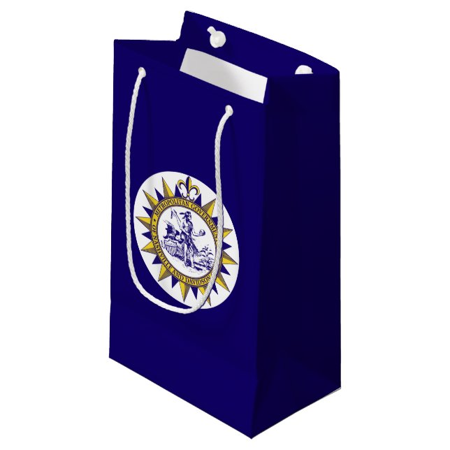 FlFlag of Nashville, Tennessee  Small Gift Bag (Front Angled)