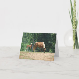 Flicker & Dock Holiday Card