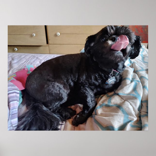 Flicker of the Tongue Poster (Front)