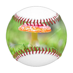 Fliegenpilz Baseball
