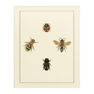 Flies and Beetles by Vision Studio Acrylic Print