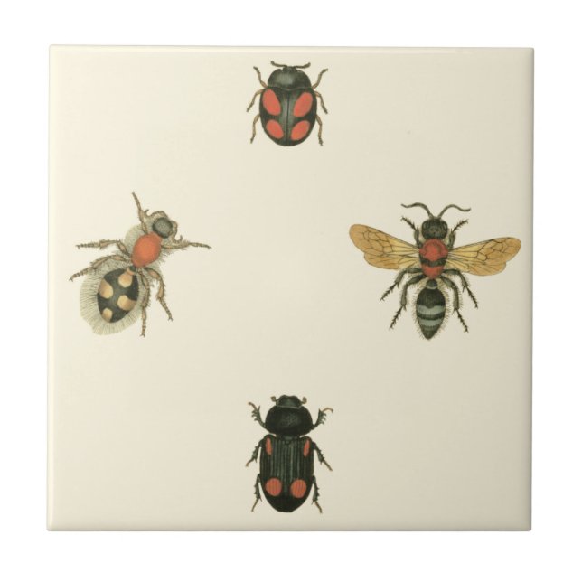 Flies and Beetles by Vision Studio Ceramic Tile (Front)
