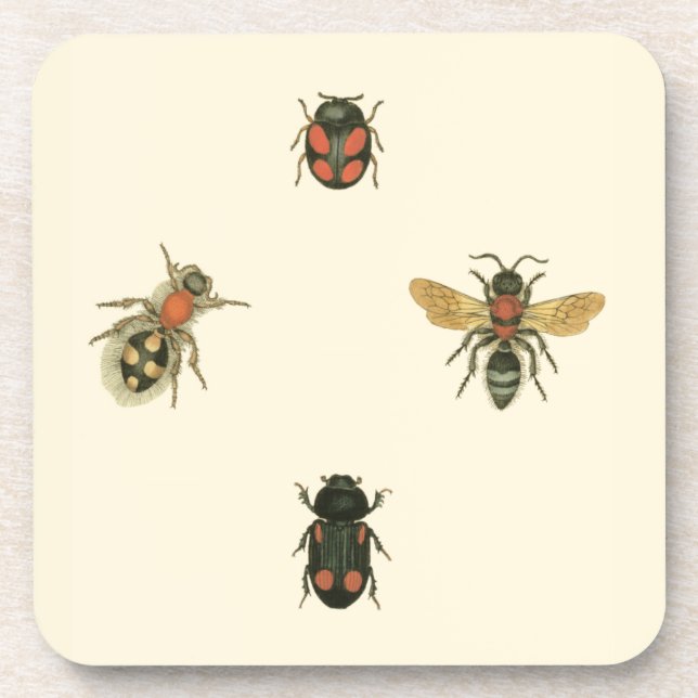 Flies and Beetles by Vision Studio Drink Coaster (Front)