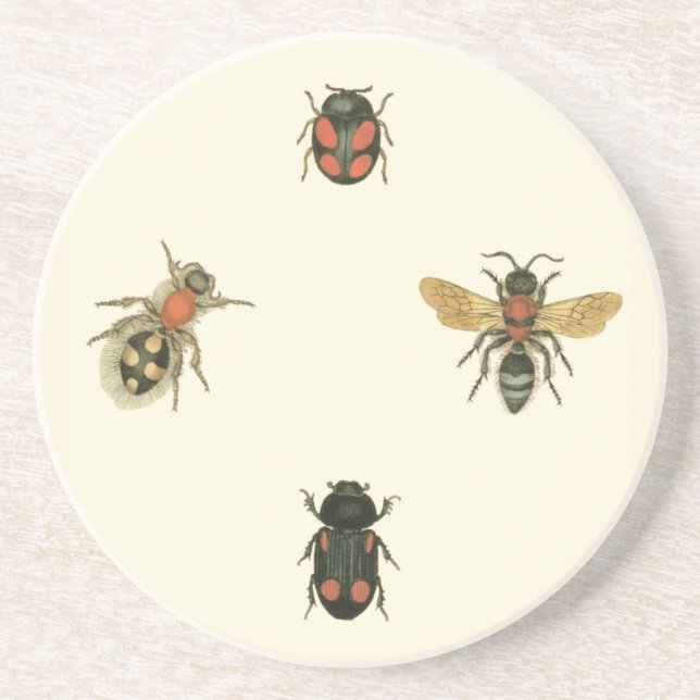 Flies and Beetles by Vision Studio Drink Coaster (Front)
