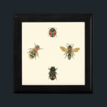 Flies and Beetles by Vision Studio Jewelry Box<br><div class="desc">This Vision Studio print may just be for the insect lovers! Flies and beetles congregate on a cream background,  framed by a black border. If you are into entomology,  or know someone who is,  this is a great piece!</div>
