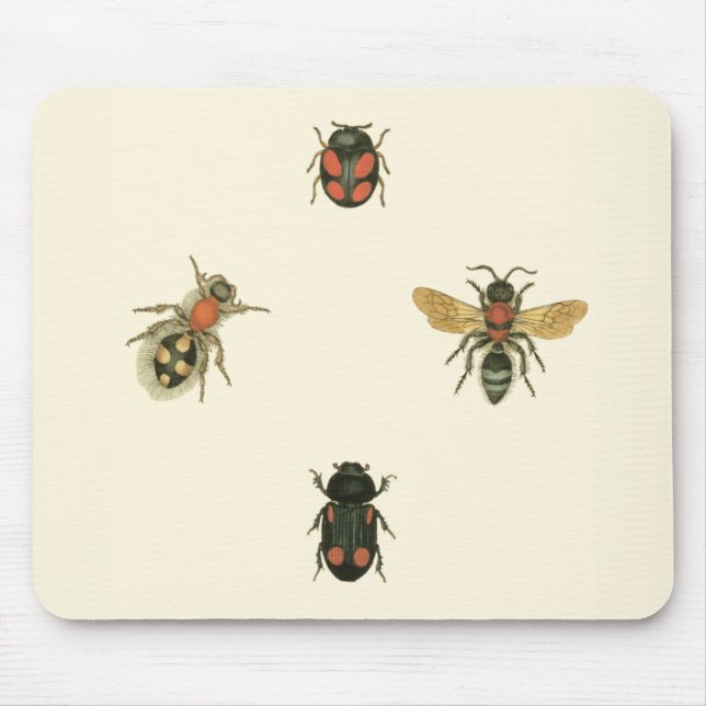 Flies and Beetles by Vision Studio Mouse Pad (Front)