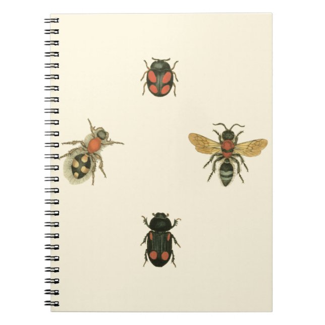 Flies and Beetles by Vision Studio Notebook (Front)