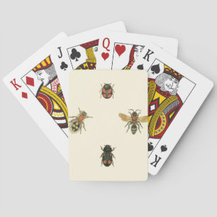 Flies and Beetles by Vision Studio Poker Cards