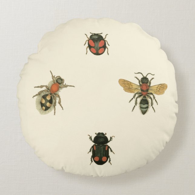 Flies and Beetles by Vision Studio Round Pillow (Front)