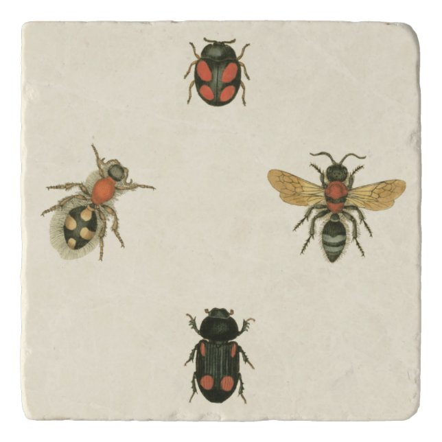 Flies and Beetles by Vision Studio Trivet (Front)