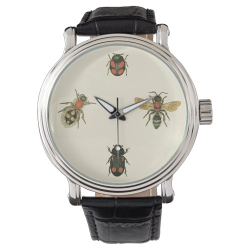 Flies and Beetles by Vision Studio Watch