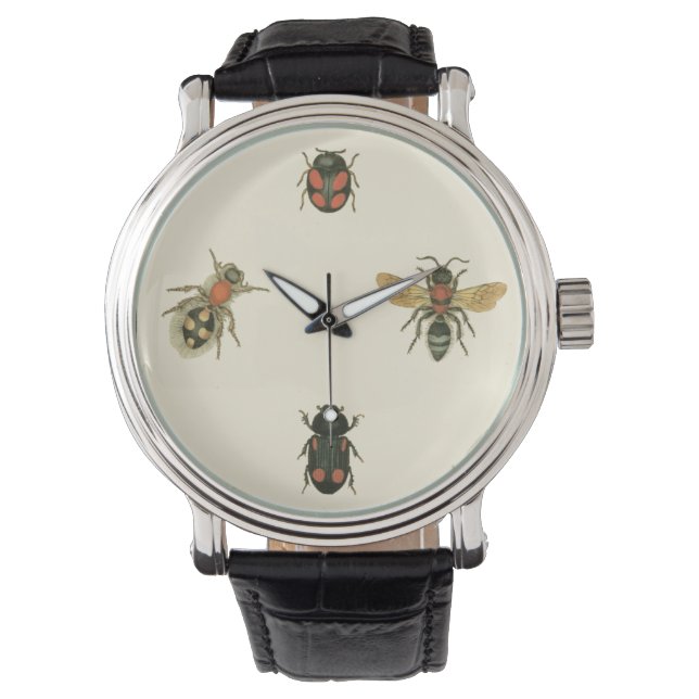 Flies and Beetles by Vision Studio Watch (Front)