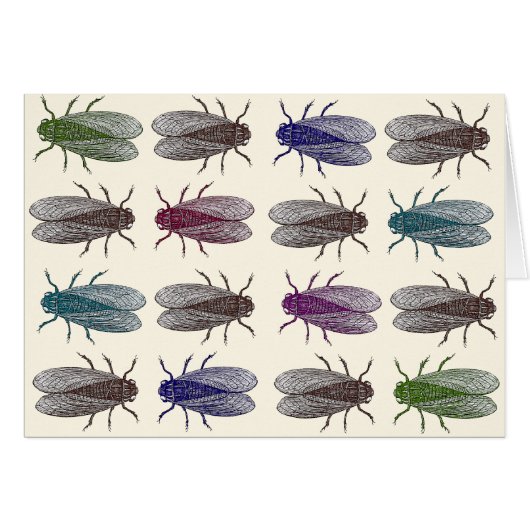 Flies / Fruit Flies from Diderot's Encyclopaedia (Front Horizontal)