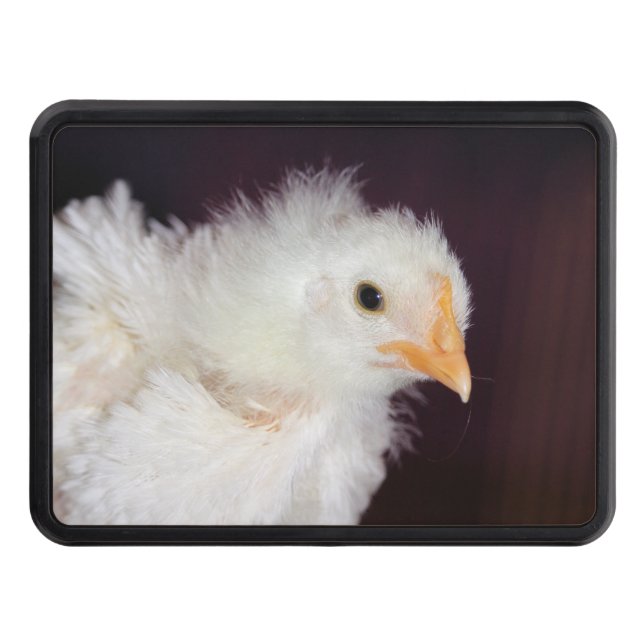 Fliff Hitch Cover (Front)