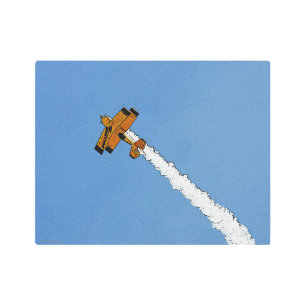 Flight 1 14x11 (35x27.5cm) wamecna metal print