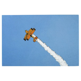 Flight 1 36x24 (90x60cm) wamecna metal print