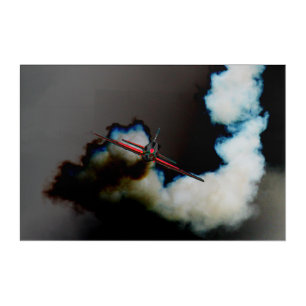 Flight 3 36x24 (90x60cm) waacna acrylic print