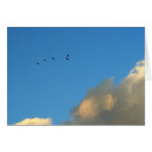 Flight of geese (Front Horizontal)