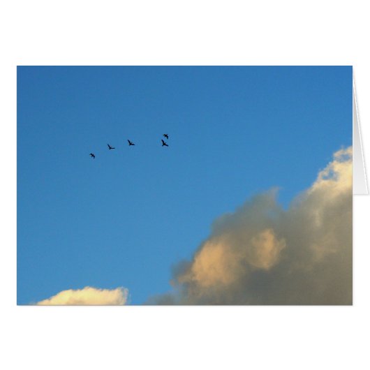 Flight of geese cards (Front Horizontal)