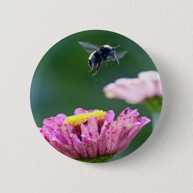 Flight of the Bumblebee Button (Front)