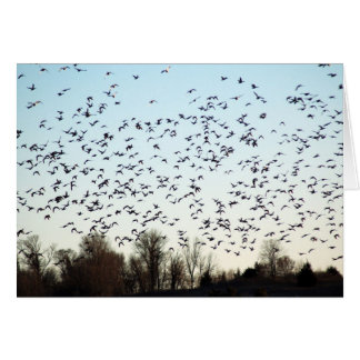 Flight of the Geese Cards