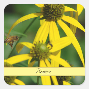 Flight of the honeybee square sticker