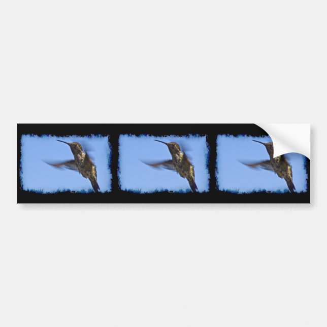 Flight of the Hummingbird Bumper Sticker (Front)