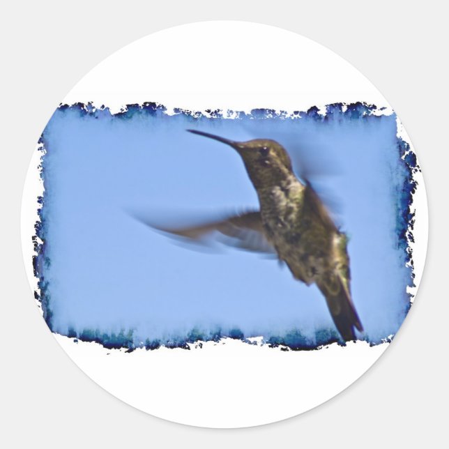 Flight of the Hummingbird Classic Round Sticker (Front)