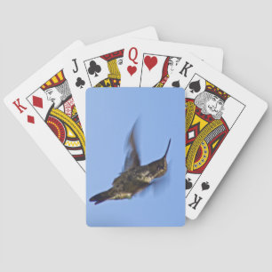 Flight of the Hummingbird Poker Cards