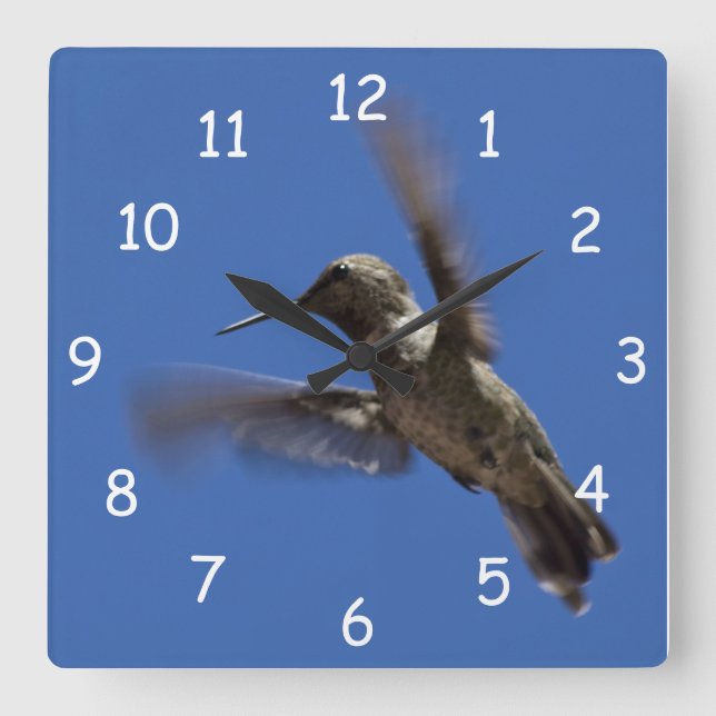 Flight of the  Hummingbird Square Wall Clock (Front)
