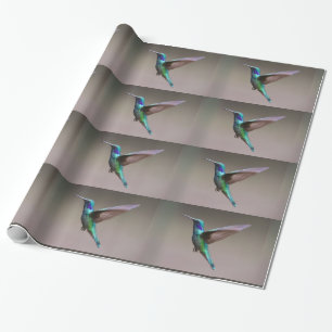 Flight Of The Hummingbird Wrapping Paper