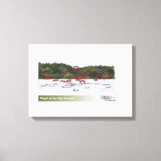 Flight of the Ibis Canvas Print