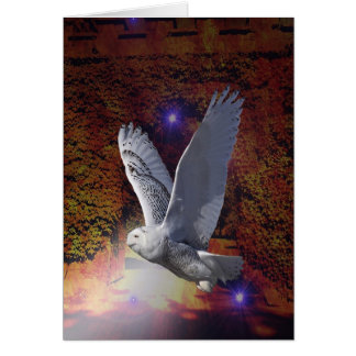 Flight of the Night Owl. Cards