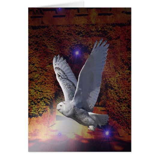 Flight of the Night Owl. Cards (Front)