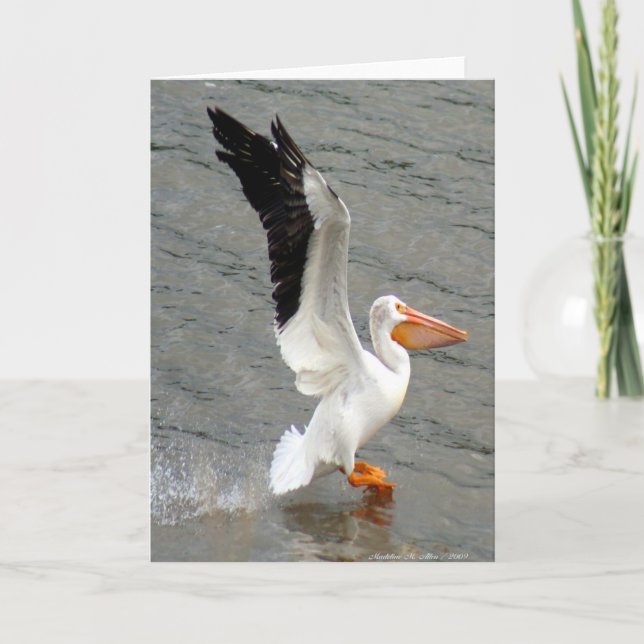 Flight of the Pelican Card (Front)