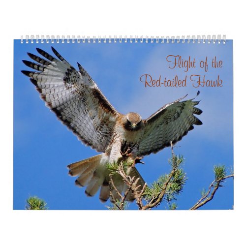 Flight of the Red Hawk Calendar