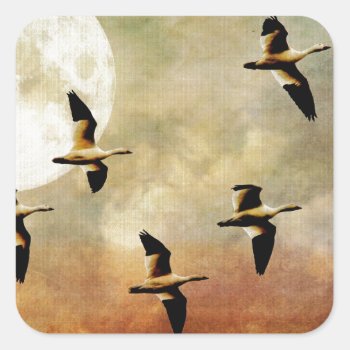Flight Of The Snowgeese Square Sticker by LoisBryan at Zazzle