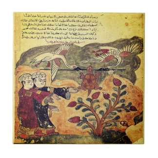  Flight of the Tortoise Indian Renaissance Fable Ceramic Tile