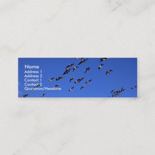 Flight of the Wild Geese | Business Cards