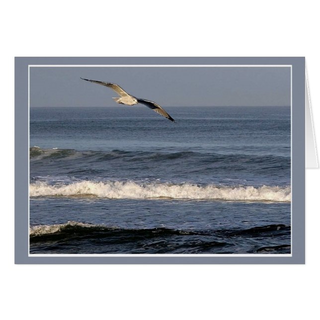 Flight Over OBX Cards (Front Horizontal)
