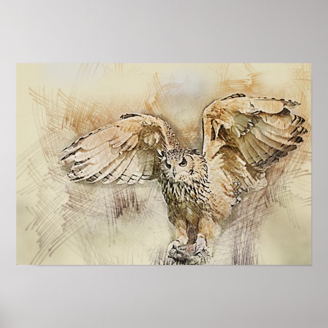 Flight Owl Poster (Front)