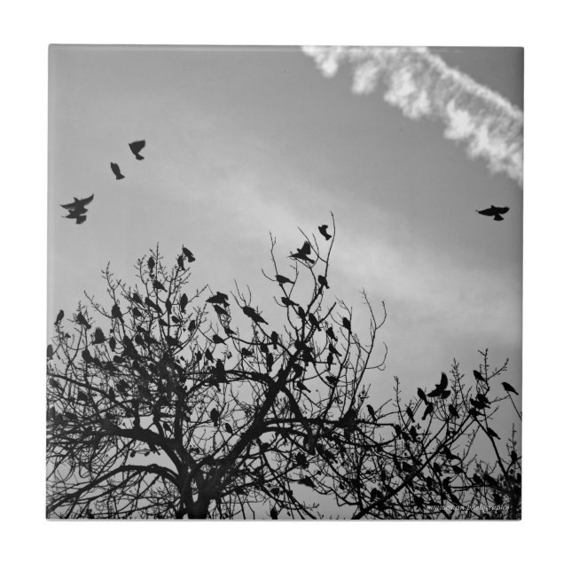 Flight Path Ceramic Tile (Front)