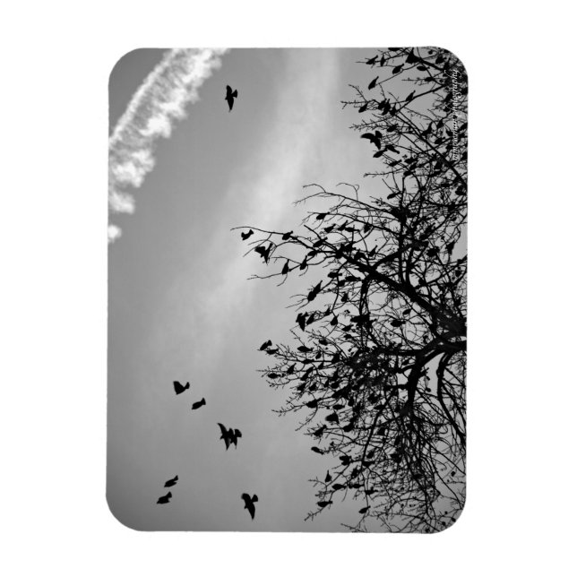 Flight Path Magnet (Vertical)