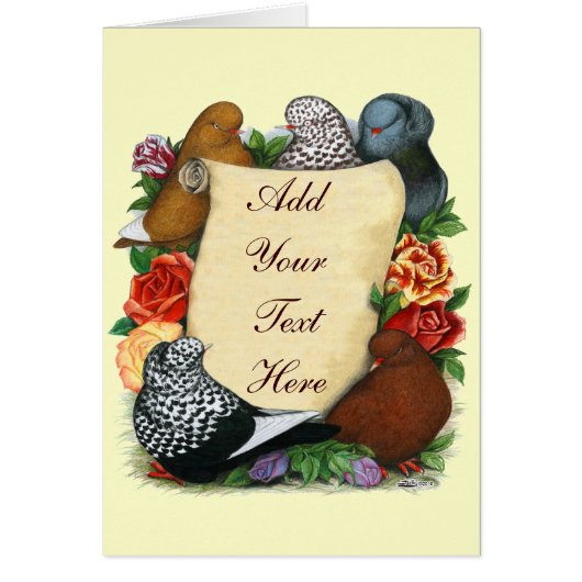 Flight Pigeon Scroll Cards (Front)