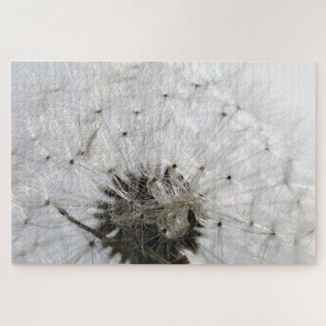 Flight Potential Jigsaw Puzzle (Horizontal)