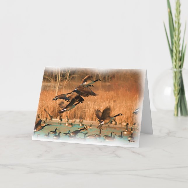 FLIGHTS OF FANCY CARD (Front)