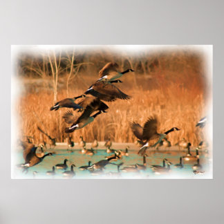 FLIGHTS OF FANCY PRINT